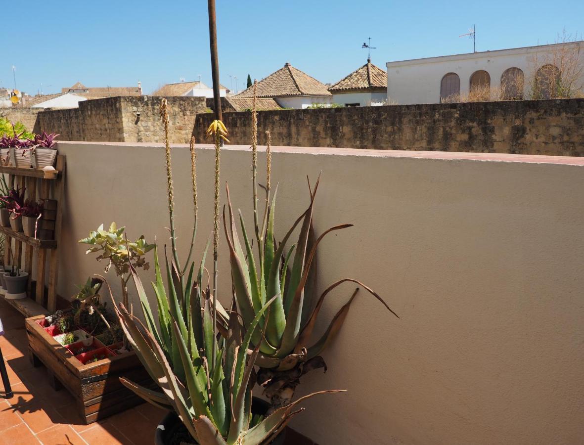 Apartamento En Juderia La Murallita Cordoba Exterior photo